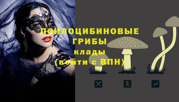 гидра Арсеньев