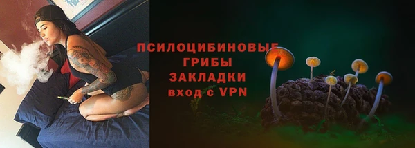 гидра Арсеньев