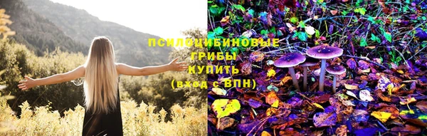 молекула духа Армянск