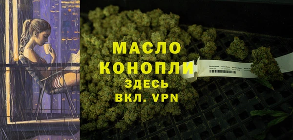 гидра Арсеньев